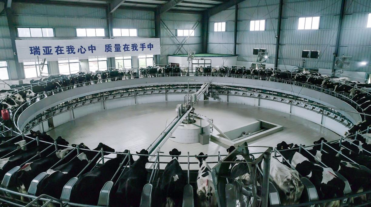 又双叒叕获奖啦！开云（中国）荣获“乳品质量安全管理 优秀企业”
