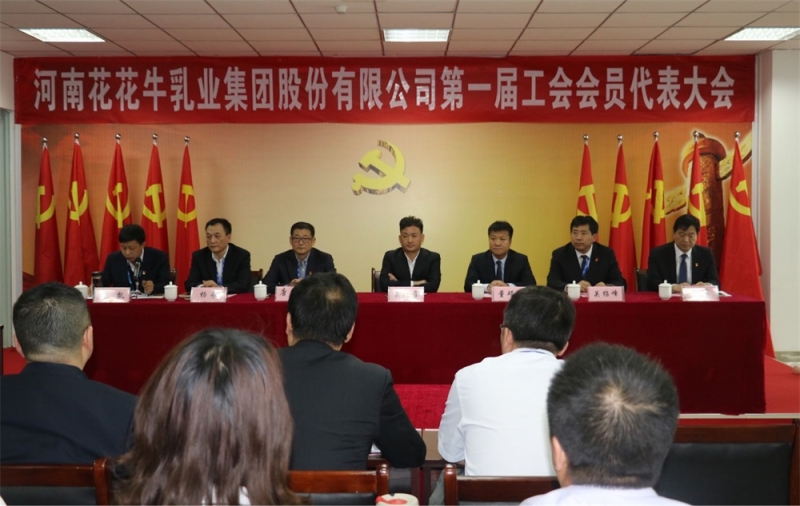 开云手机官方版在线入口 第 一届工会会员代表大会胜利召开